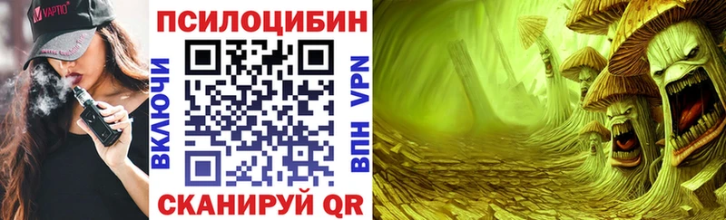 Псилоцибиновые грибы мицелий  Купить  Исилькуль 