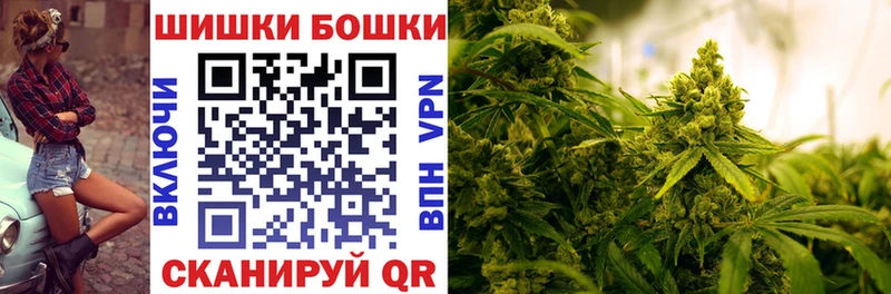 Купить Исилькуль Бошки марихуана планчик